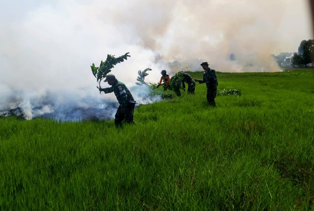 Hingga Akhir Juli, 140 Hektare Lahan di Sumsel Terbakar 