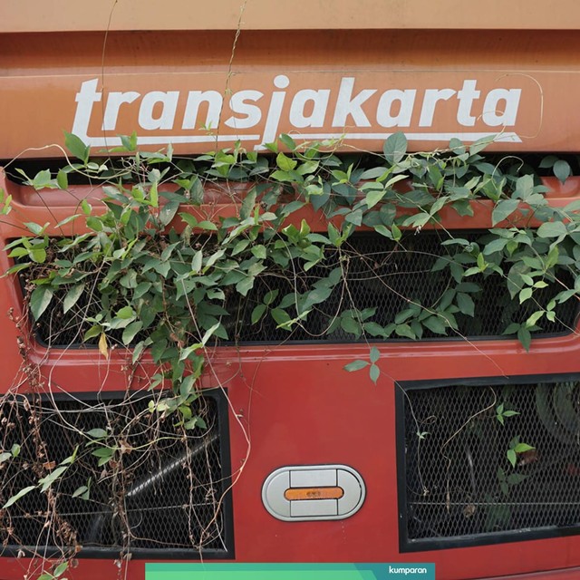 Ilustrasi Bus Transjakarta yang tidak terpakai. Foto: Helmi Afandi Abdullah/kumparan