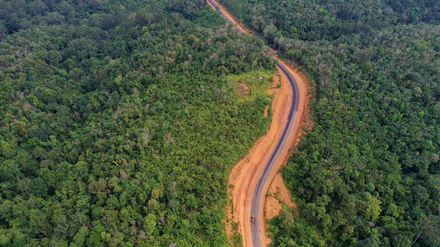 Foto udara kawasan Bukit Nyuling, Tumbang Talaken Manuhing, Gunung Mas, Kalimantan Tengah, Kamis (25/7/2019). Foto: ANTARA FOTO/Hafidz Mubarak