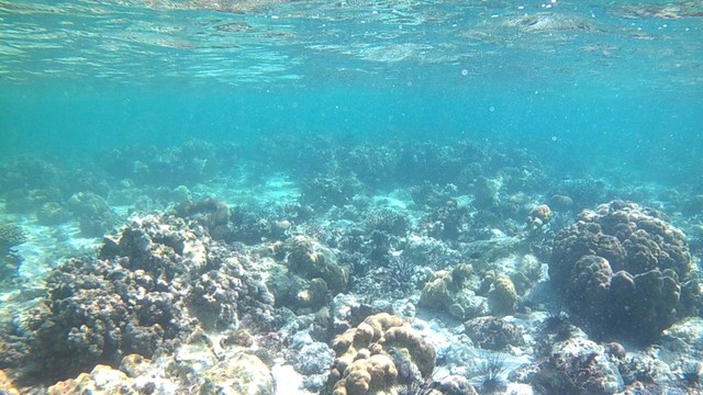 Kejernihan air laut di Nisa Pudu. Foto: Info Dompu