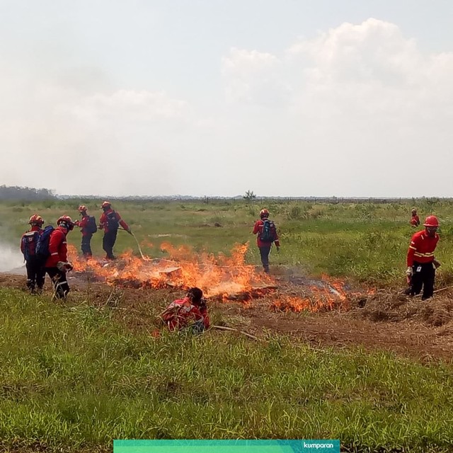 Simulasi kebakaran hutan dan lahan di APP Sinar Mas Kabupaten OKI, Palembang. Foto: Nicha Muslimawati/kumparan