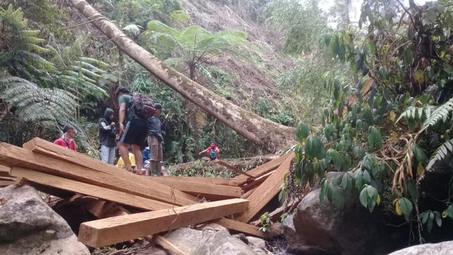 Ilegal logging di hutan produksi Desa Tambora. Foto: Doc Pemuda Tambora