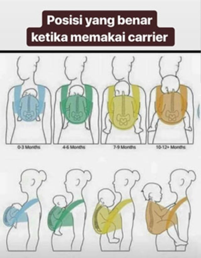 Review Baby Carrier Hipseat Ergobaby