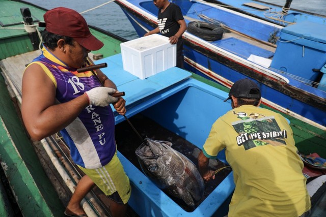 Foto: Melihat Tuna Tangkapan Nelayan Aceh yang Tembus Pasar Dunia (1482)