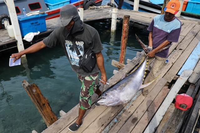 Foto: Melihat Tuna Tangkapan Nelayan Aceh yang Tembus Pasar Dunia (1483)