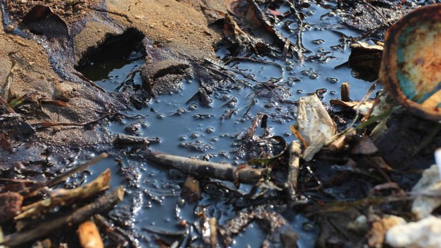 LIPUTAN KHUSUS, Tumpahan Minyak Pertamina, Kepualuan Seribu, Pulau Bidadari