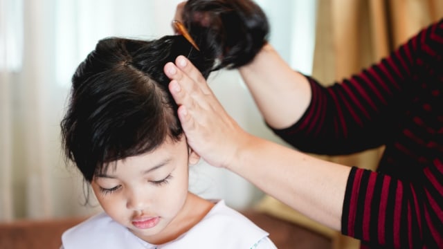 Menyisir rambut anak. Foto: Shutterstock