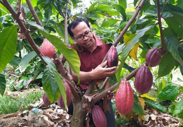 #Tim PSP3 IPB University Teliti Turunnya Produksi Kakao di Kolaka Utara