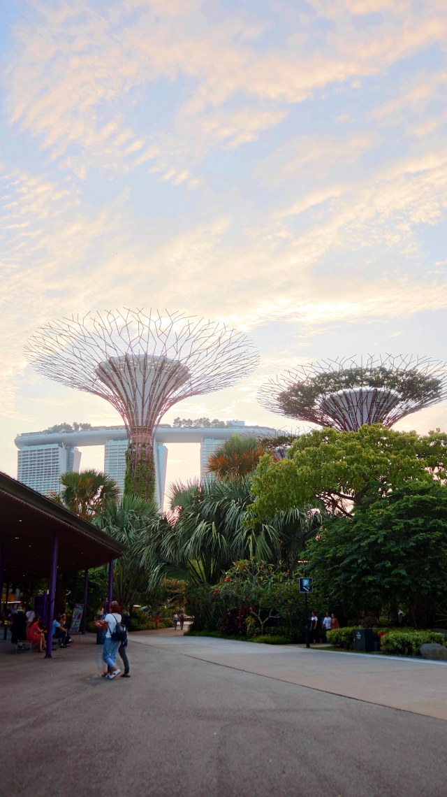 Supertree Gardens by the Bay dan Marina Bay Sands Foto: Helinsa Rasputri/kumparan