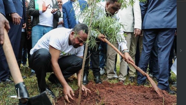 Ironi PM Ethiopia: Dari Pemenang Nobel Perdamaian, Kini Pemrakarsa Perang (27938)