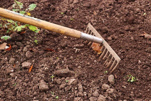 Wajib Punya 7 Macam  macam  Alat Berkebun kumparan com