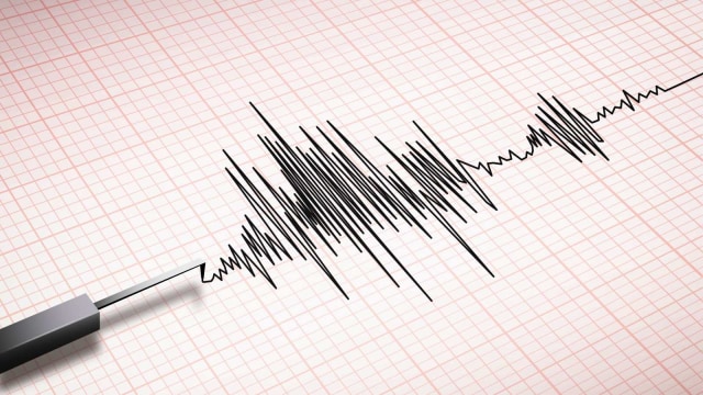 Ilustrasi gempa bumi. Foto: Getty Images