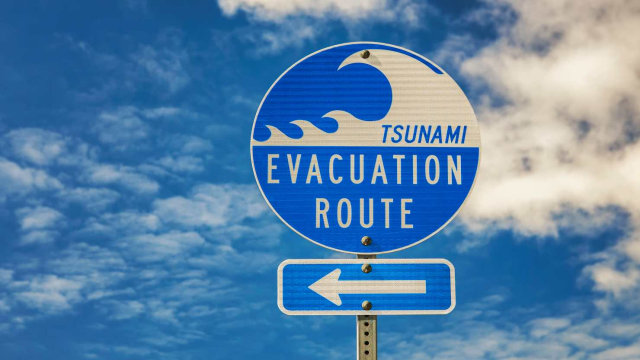 Ilustrasi tsunami. Foto: Getty Images
