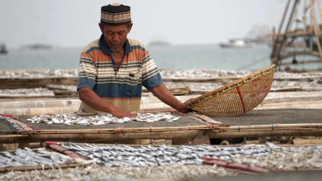 Daya Beli Petani dan Nelayan Kompak Naik di Agustus 2019 (207789)