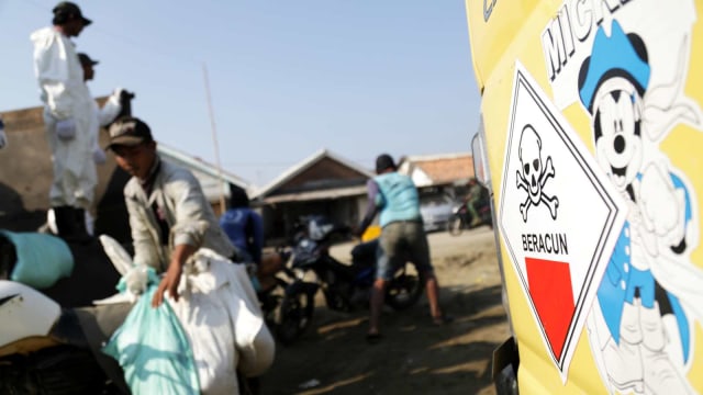 LIPUTAN KHUSUS, Tumpahan Minyak Pertamina, Pantai Sedari