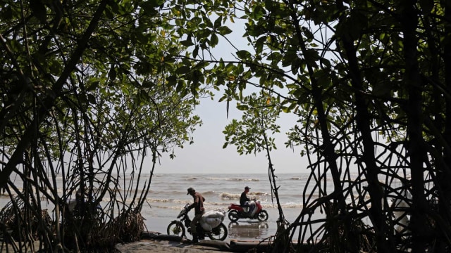 LIPUTAN KHUSUS, Tumpahan Minyak Pertamina, Pantai Sedari