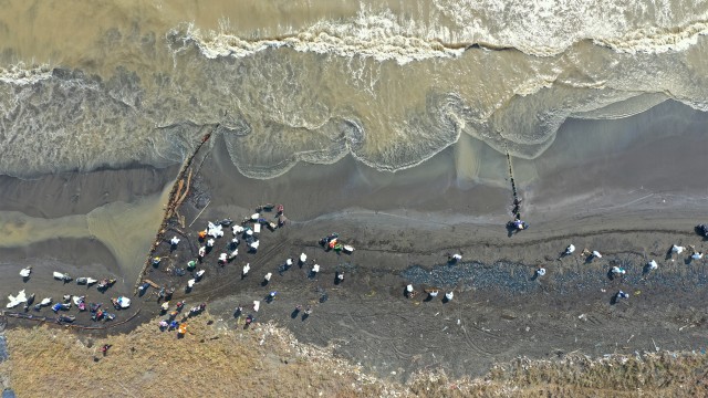 Gambar udara saat Petugas Oil Spill Combat Team (OSCT) dibantu warga binaan Pertamina membersihkan pantai yang kotor akibat tumpahan minyak (Oil Spill) di Pesisir Pantai Sedari, Karawang. Foto: Aditia Noviansyah/kumparan
