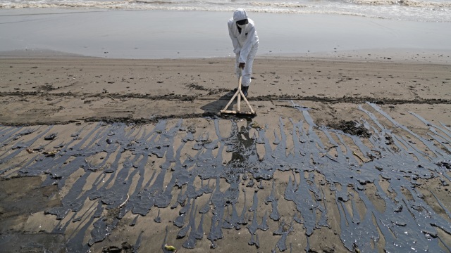 LIPUTAN KHUSUS, Tumpahan Minyak Pertamina, Pantai Sedari