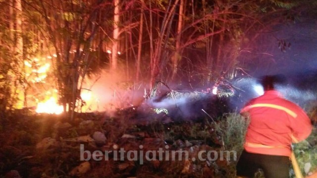 Hutan Pohon Jati Seluas 0,5 Hektare di Mojokerto Terbakar