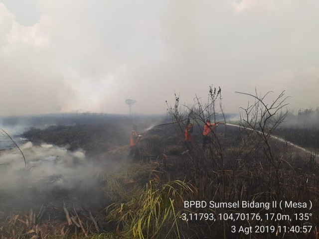 Api Tak Kunjung Padam, Kebakaran Hutan 4 Desa Di Sumsel Terus Meluas ...