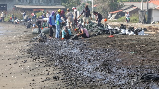 Warga mengumpulkan limbah tumpahan minyak "Oil Spill" yang tercecer milik Pertamina di Pesisir Pantai Cemarajaya, Karawang, Jawa Barat, Rabu (24/7). Foto: ANTARA FOTO/M Ibnu Chazar