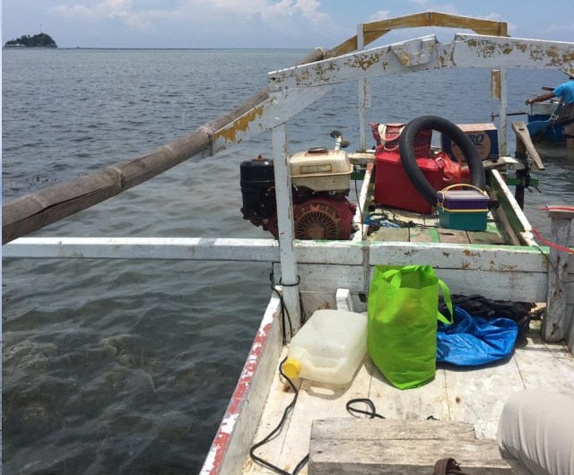 4300 Koleksi Gambar Ikan Hiu Di Perahu Gratis Terbaik