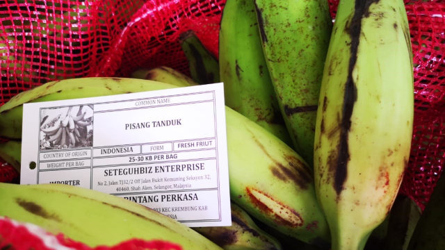 Pisang Indonesia diekspor ke Malaysia. Foto: Dok: Kementerian Pertanian