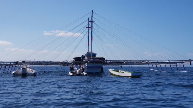 Foto: Melihat Ikan Hiu Paus di Teluk Saleh, Pulau Sumbawa | kumparan.com