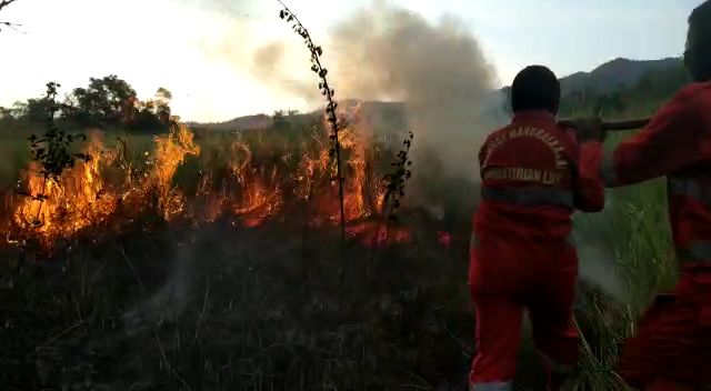 Manggala Agni berusaha melakukan pemadaman di lokasi terbakarnya hutan. Foto: Dok Magala Agni.