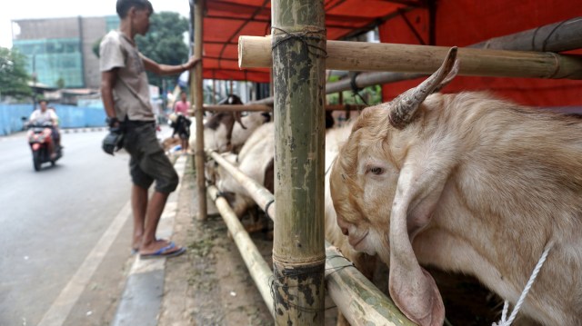 Muhammadiyah Tetapkan Idul Adha Jumat, 31 Juli 2020 (116555)