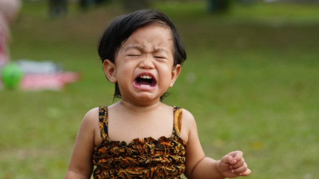 Anak balita menangis saat bertemu orang baru. Foto: Shutterstock