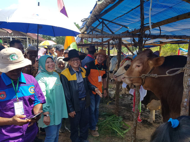 Bupati Kobar Hj Nurhidayah bersama suami H.M Ruslan AS saat memilih hewan kurban di Pasar Hewan Kurban. (Foto: Joko Hardyono)