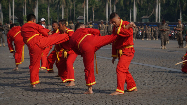 Aksi Pencak Silat Ramaikan Perayaan HUT ke-69 Satpol PP (38317)