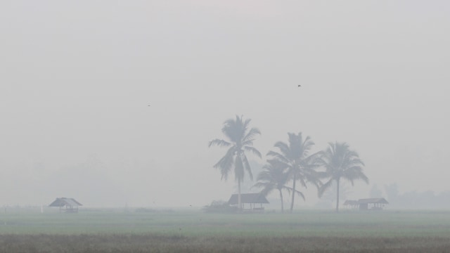 Kabut asap akibat Kebakaran Hutan dan Lahan (Karhutla) terlihat di area persawahan Desa Cot Amun, Kecamatan Samatiga, Aceh Barat, Aceh, Selasa (6/8). Foto: ANTARA FOTO/Syifa Yulinnas