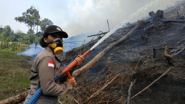 Bripda Indah Roida Simaremare, Anggota Polsek Entikong, ikut memadamkan api karhutla di dekat perbatasan Indonesia-Malaysia. Foto: Dok. Polsek Entikong