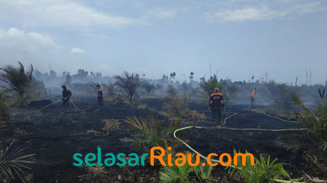 PETUGAS BNPB melakukan proses pemadaman di lahan gambut yang terbakar. 
