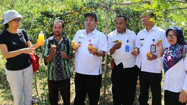 Wakil Bupati Blora, H Arief Rohman MSi, saat berkunjung ke perkebunan jeruk di Desa Tanggel Kecamatan Randublatung Blora. Selasa (06/08/2019)