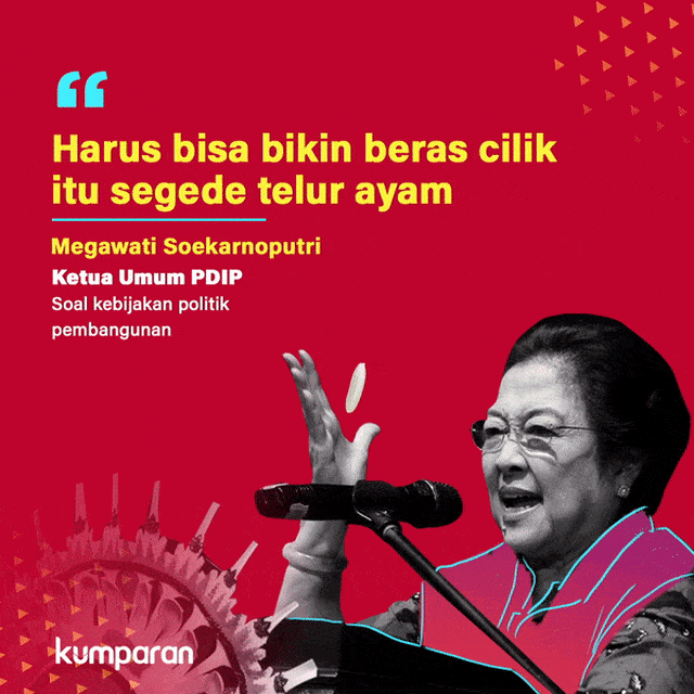 Megawati Soekarnoputri. Foto: Putri Sarah Arifira, Alya Safira/ kumparan.