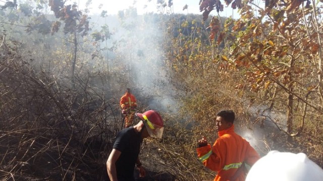 Kebakaran Hutan di Area Porta Camp PLTB Sidrap (Makassar Indeks).