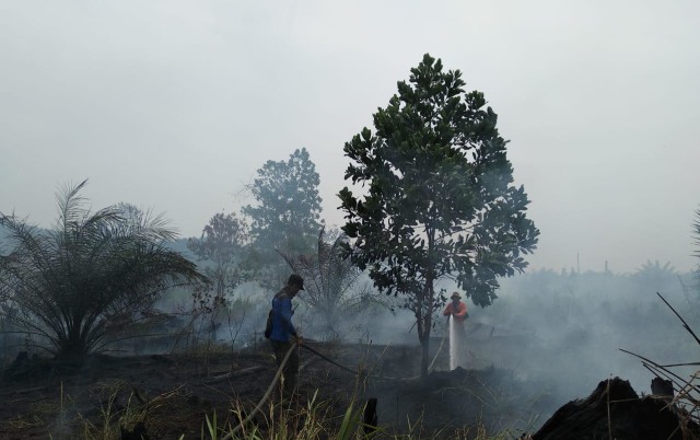 Personel Manggala Agni Daops Singkawang berusaha memadamkan api di kawasan Sagatani, Singkawang Selatan. Foto: Dok. Manggala Agni Daops Singkawang