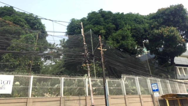 Kabel-kabel di udara sepanjang Jalan Medan Merdeka Timur sampai Tugu Tani. Foto: Andesta Herli Wijaya/kumparan