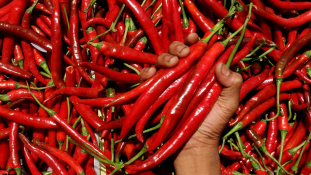 Cabai merah