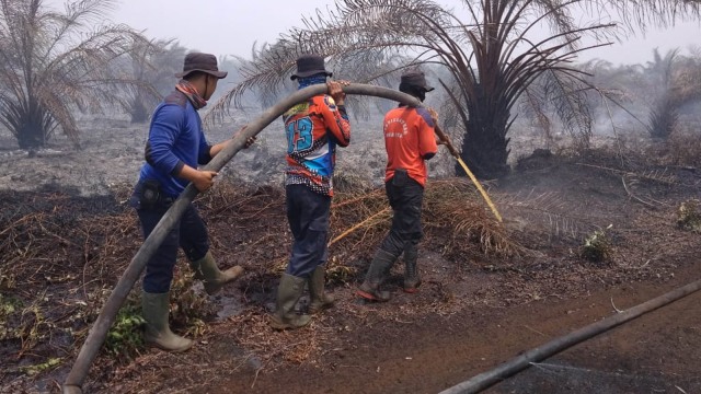 PETUGAS BNPB memadamkan api di lahan gambut yang ditanam kelapa sawit, Desa Pasiran, Kabupaten Bengkalis, Provinsi Riau.  