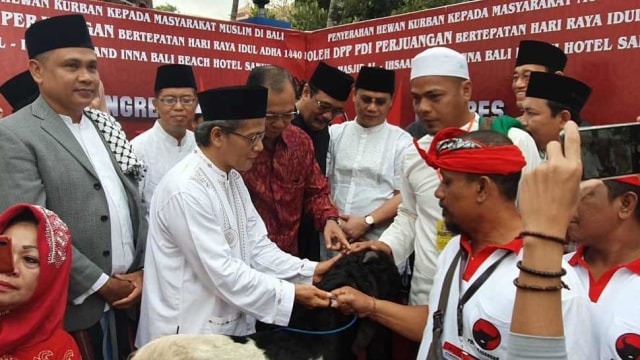 Penyerahan 30 ekor Kambing Untuk Qurban dari DPP PDIP kepada Masjid Al Ihsan, Sanur, Bali, (11/8). Foto: Rafyq panjaitan/kumparan