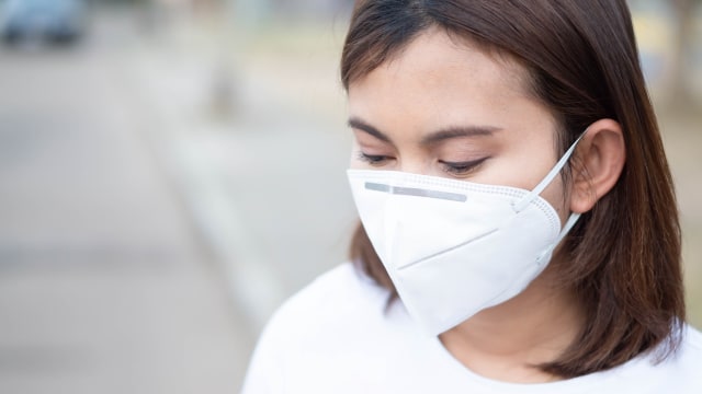 ilustrasi ibu hamil menghadapi polusi udara Foto: Shutterstock