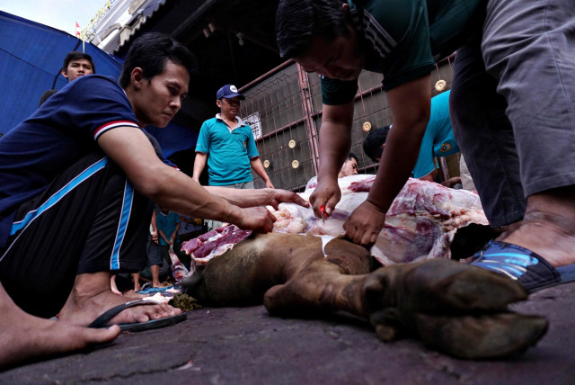 Proses sembelih daging kurban di LDII Bali, Denpasar, Sabtu (11/8). Foto: Jamal Ramadhan/kumparan