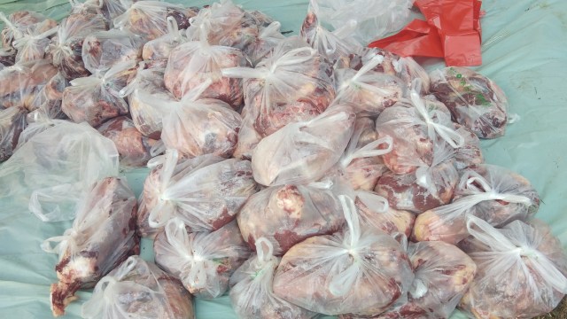 Ilustrasi pengemasan daging hewan kurban menggunakan plastik. Foto: Melly Meiliani/kumparan