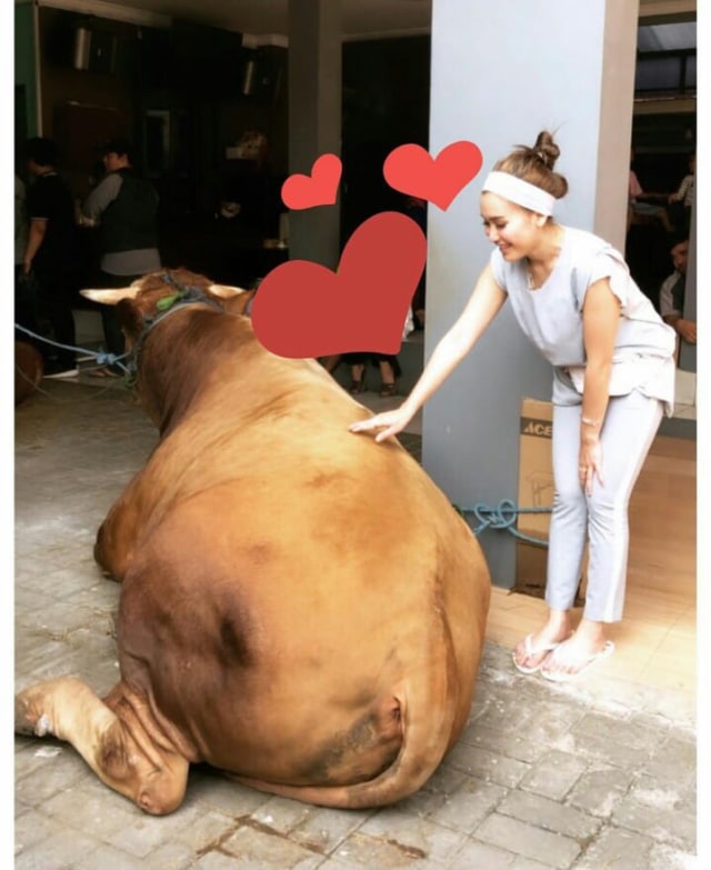 WhatsApp Image 2019-08-11 at 20.27.48.jpeg