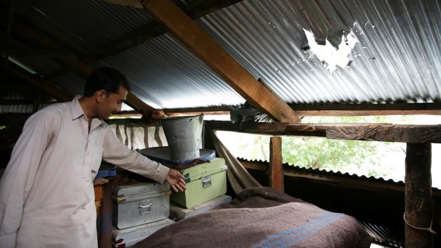 Suasana Idul Adha di Kashmir