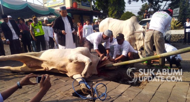 Kota Sukabumi Sembelih 2524 Ekor Hewan Qurban Terbanyak Di Wardoy